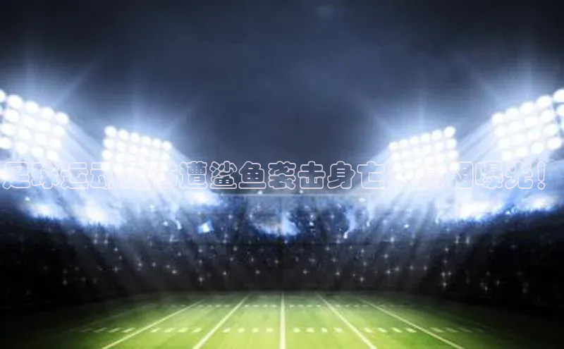 2121非凡app官方下载百度手机卫士足球运动员惨遭鲨鱼袭击身亡：真相曝光！