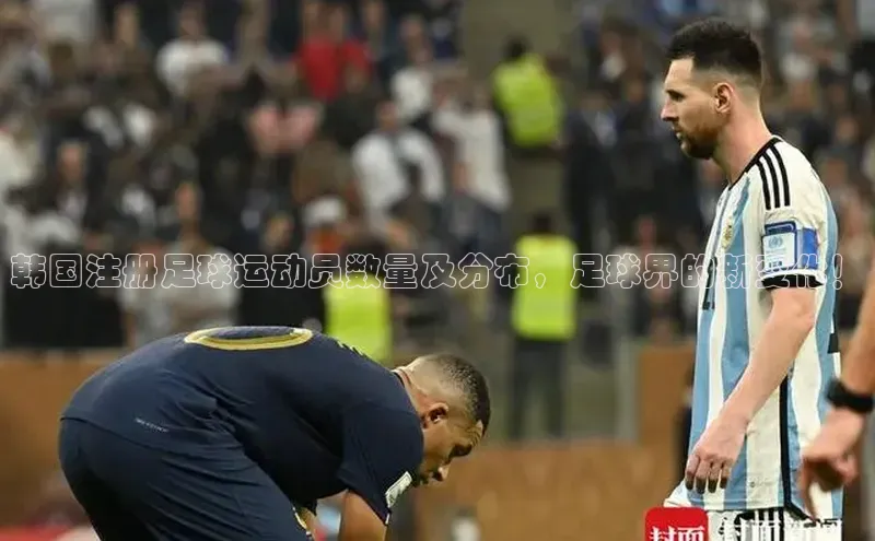 2121非凡体育娱乐入口宣亚国际韩国注册足球运动员数量及分布，足球界的新变化！