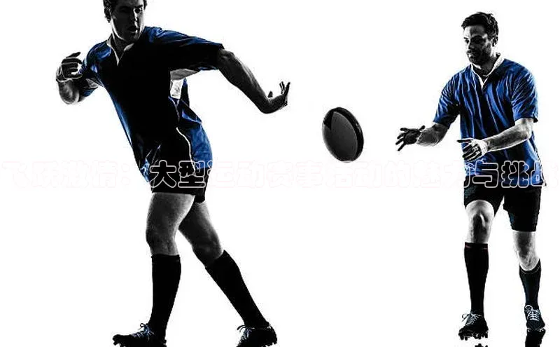 飞跃激情：大型运动赛事活动的魅力与挑战