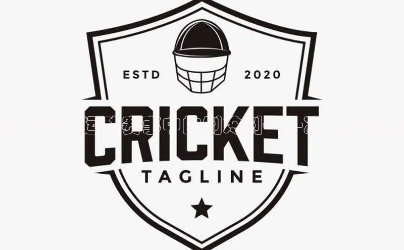 冰与火：运动赛事中的制冷剂——冰块的应用