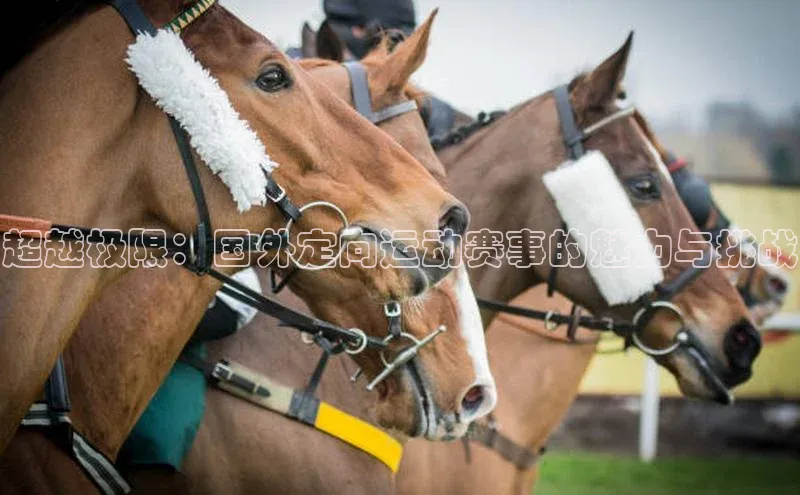 超越极限：国外定向运动赛事的魅力与挑战