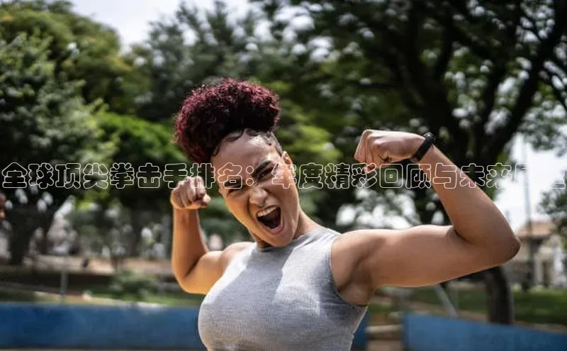 全球顶尖拳击手排名：年度精彩回顾与未来展望