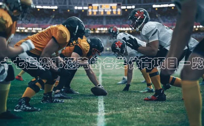 十七运赛事涵盖的各类体育项目一览