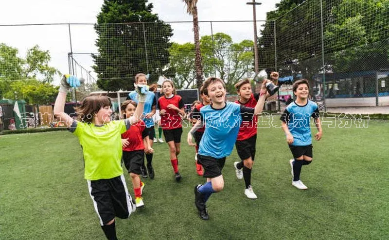 竞技盛宴：2018年各大国际体育盛事综述与分析