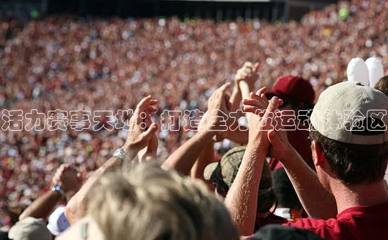 活力赛事天地：打造全方位运动体验区