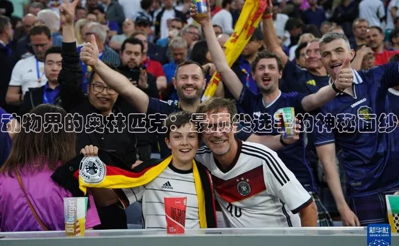 非凡电子游戏平台