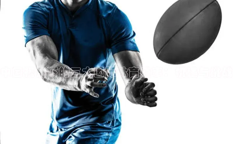 非凡体育官网入口