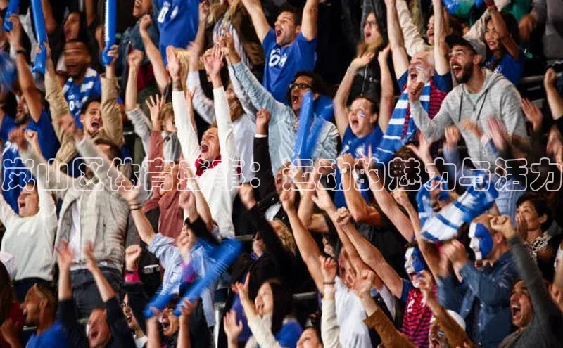 非凡游戏官方网址入口