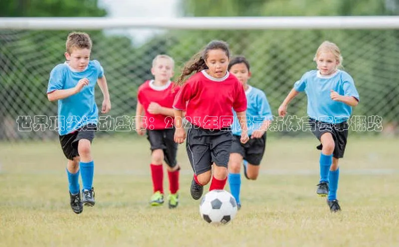 2121非凡体育app下载