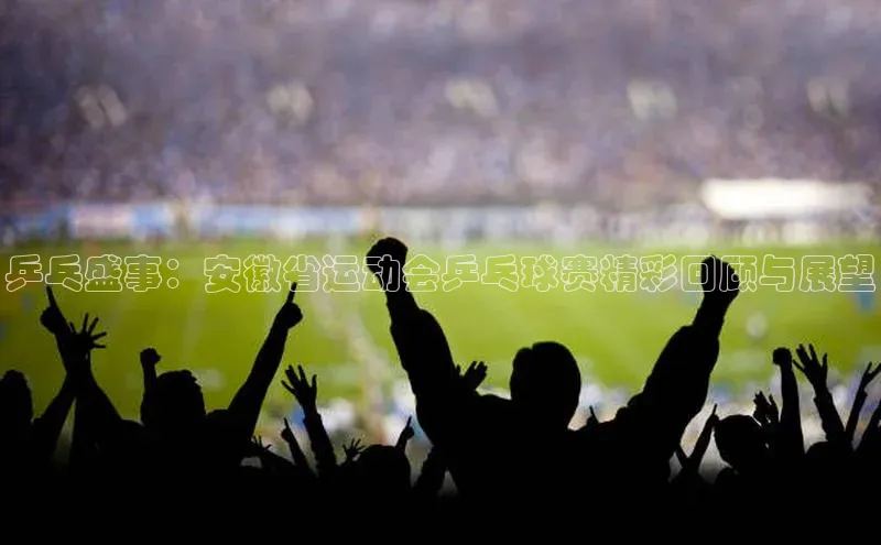 乒乓盛事：安徽省运动会乒乓球赛精彩回顾与展望