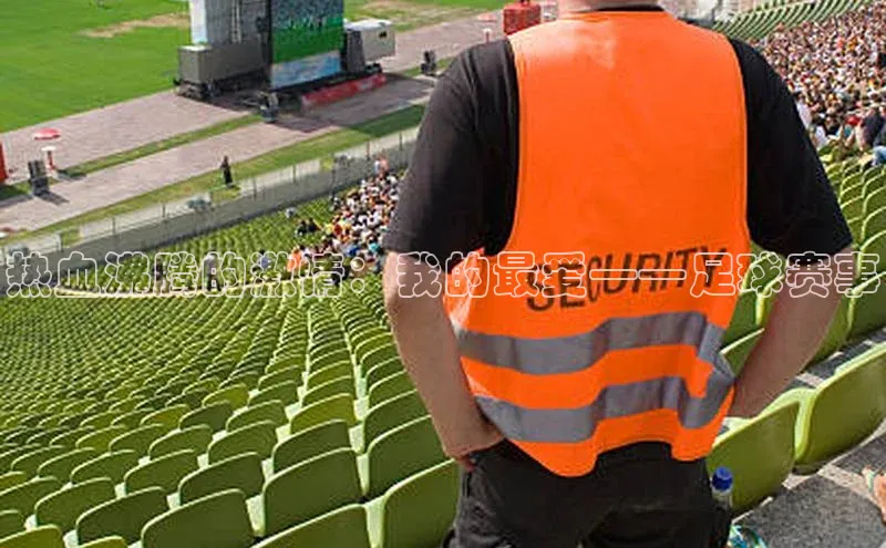 热血沸腾的激情：我的最爱——足球赛事